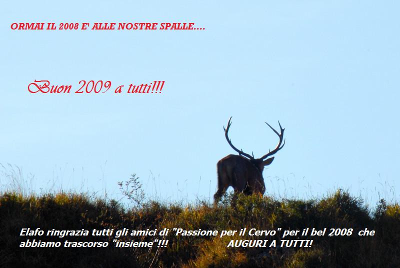 PASSIONE PER IL CERVO